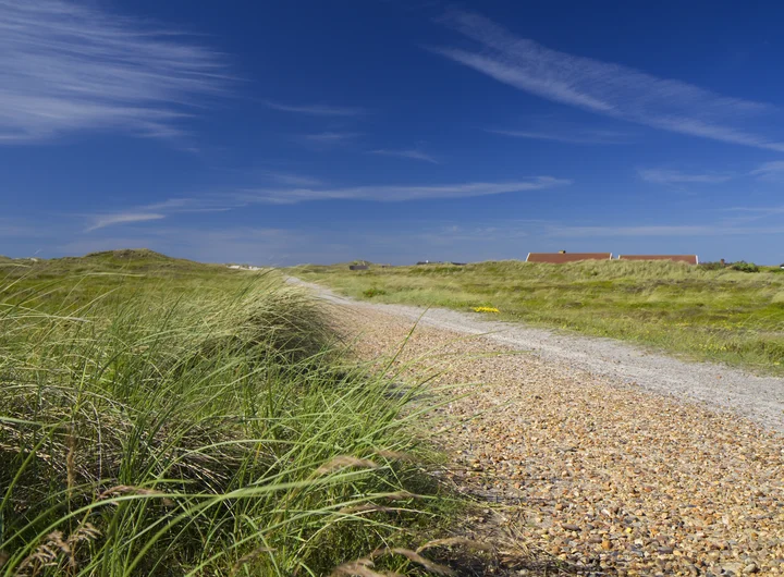 Bild zeigt eine typische Ostseelandschaft mit saftigen Wiesen, einem Sandweg und blauen Himmel